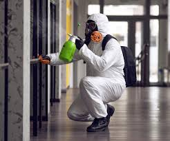 Why You Should Choose Our Mold Remediation Services in Lynnwood Pricedale, PA